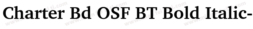 Charter Bd OSF BT Bold Italic字体转换